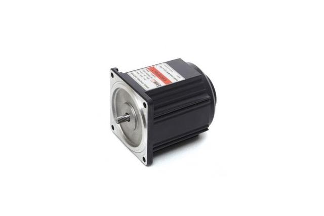 Speed Control Induction Motor (25W, 1/30 HP)