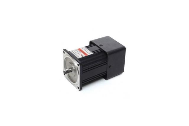 Speed Control Induction Motor (60W, 1/12.5 HP)