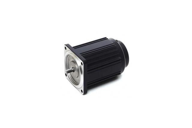 Speed Control Reversible Motor (6W, 1/124 HP)