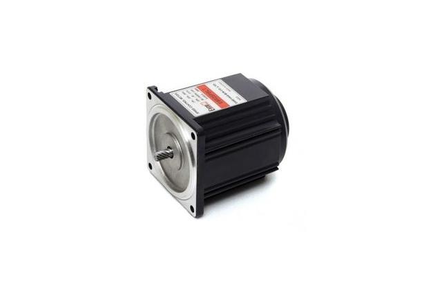 Speed Control Reversible Motor (25W, 1/30 HP)