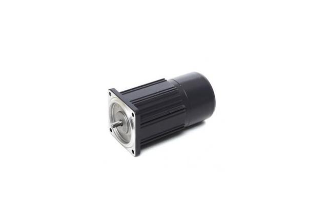 Brake Motor (6W, 1/124 HP)