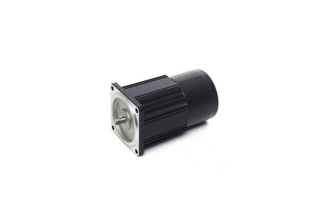 Brake Motor (15W, 1/50 HP)