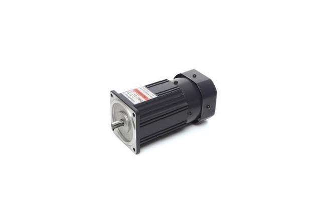 Brake Motor (120W, 1/6 HP)