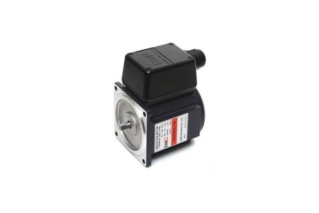 Terminal Box Type Induction Motor (25W, 1/30 HP)