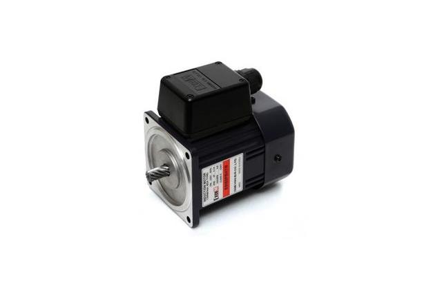 Terminal Box Type Induction Motor (60W, 1/12.5 HP)