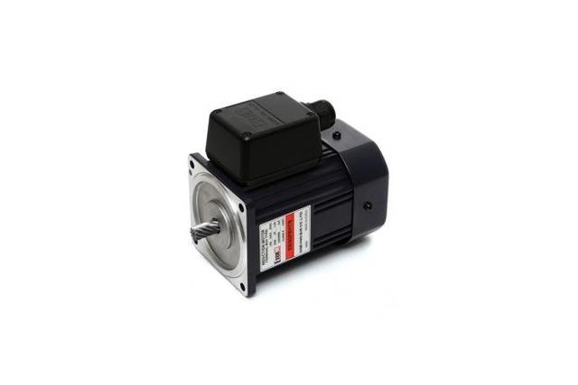 Terminal Box Type Induction Motor (90W, 1/8 HP)
