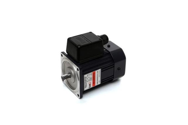 Terminal Box Type Induction Motor (120W, 1/6 HP)