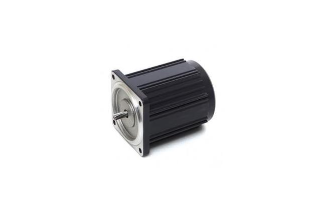 Torque Motor (3W, 1/248 HP)