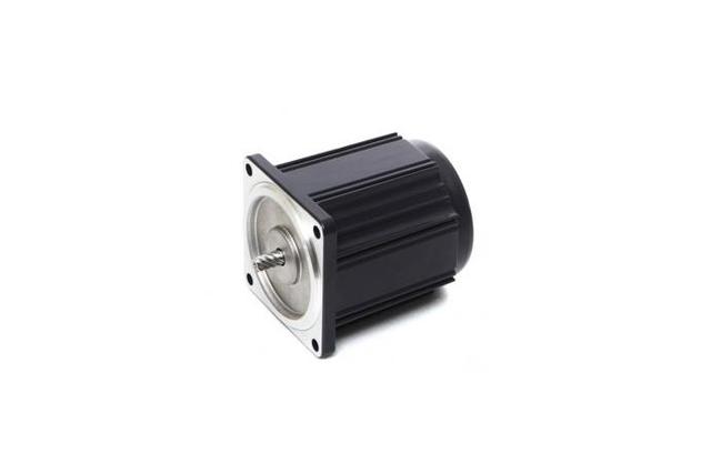 Torque Motor (6W, 1/124 HP)
