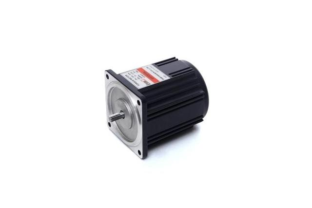 Torque Motor (20W, 1/37.5 HP)