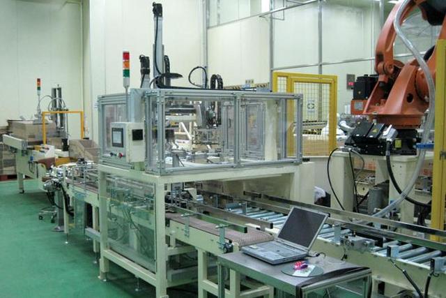 Auto Case Packer