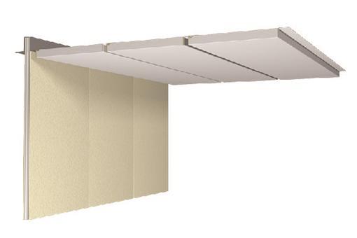 Ceiling Panel