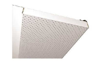 Ceiling Panel