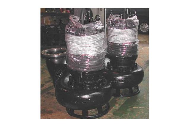 Pedestal Type Sump Pump