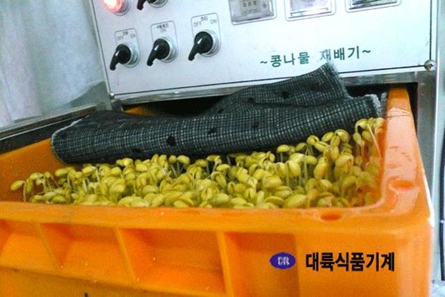 콩나물 재배기