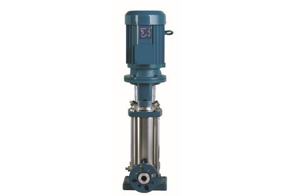 Vertical Multi-stage Pump