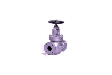 Globe & Globe SDNR Valve (Cast iron)