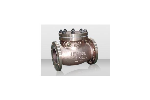 Swing Check Valve