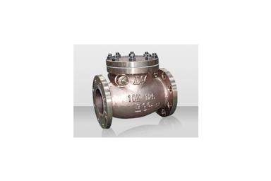 Swing Check Valve