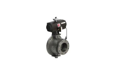 Dome Valve
