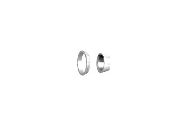 Ferrule