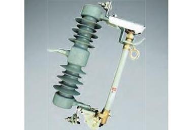 25.8kV Polymer Insulated COS