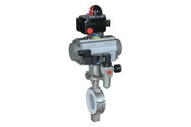 Butterfly Valve
