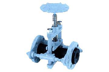 Lined Valve