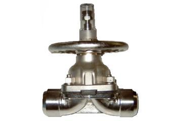 Nuclear Powerplant Valve