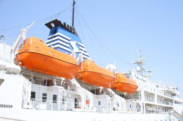 Hydraulic Gravity Type Davit