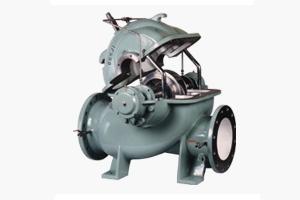 Double Suction Pump