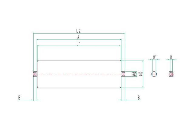 Carrier Roller