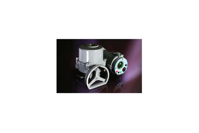 Quarter-turn actuator