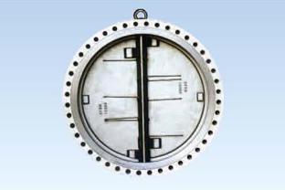 Check Valve (Water Type)