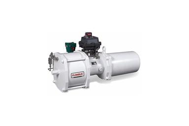 Pneumatic Actuator