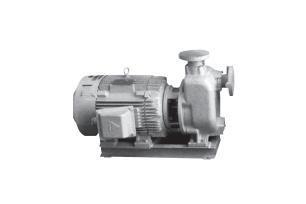 Horizontal Centrifugal Pump