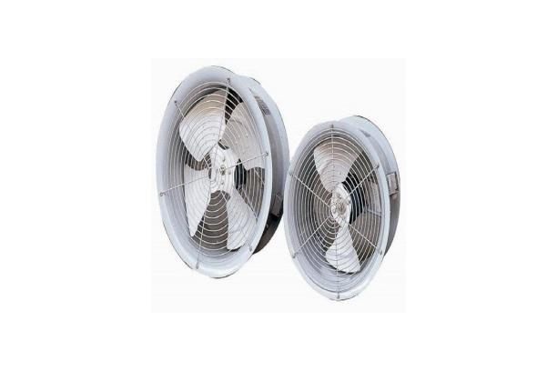 FAN