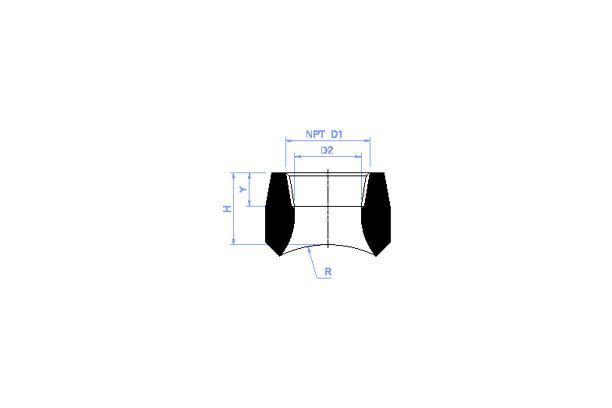 Forged fittings
