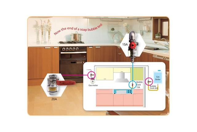Gas Leakage Check Device