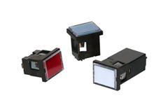 Combination display light