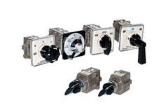 Cam switch
