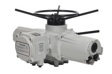 Electric Multi-Turn Actuator