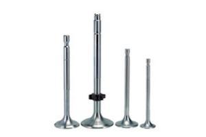 Valve Spindles