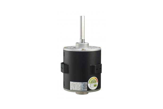 Ordering type Motor