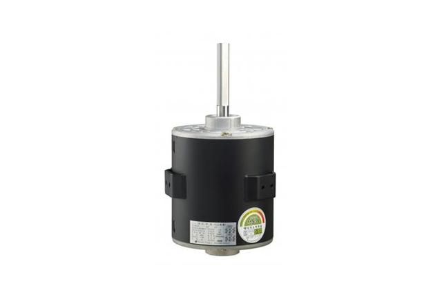 Ordering type Motor