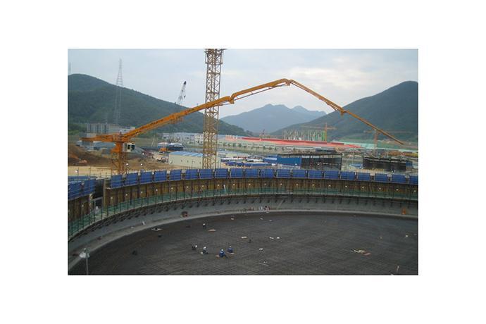 Placing Boom (Tower Mast Type)
