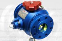 Pig Valve