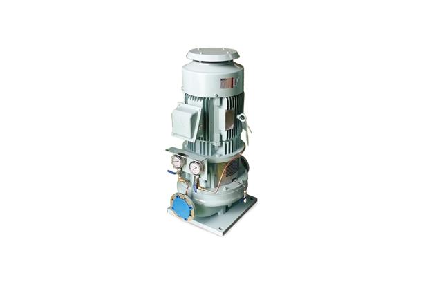 IN-LINE PUMP