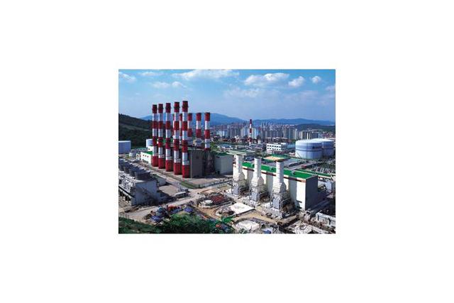 Environment Plant