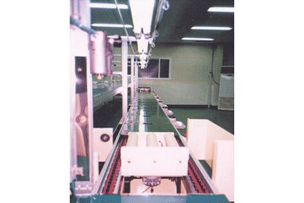 Free Flow Conveyor